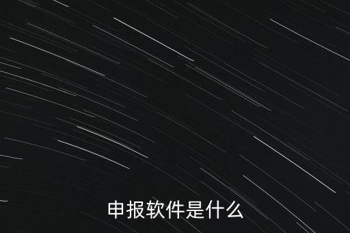增值稅申報用什么軟件，申報軟件是什么