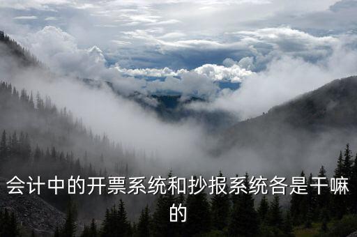 報(bào)稅開票系統(tǒng)是什么意思，每個(gè)月一號(hào)重登金稅盤開票系統(tǒng)是什么意思
