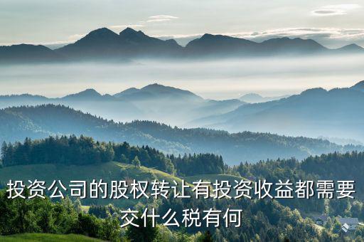 投資公司都要納什么稅，外商投資企業(yè)以設(shè)備投資需要交什么稅