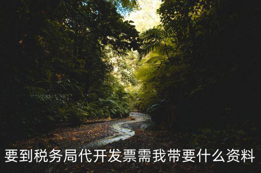 去稅務(wù)局開(kāi)票需要帶什么資料，去稅務(wù)局開(kāi)票的話(huà)需要帶什么材料呢