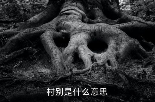 稅務(wù)所村審是什么意思，村別是什么意思