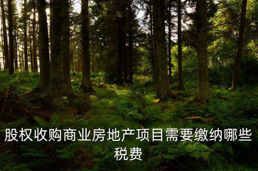 股權收購商業(yè)房地產(chǎn)項目需要繳納哪些稅費