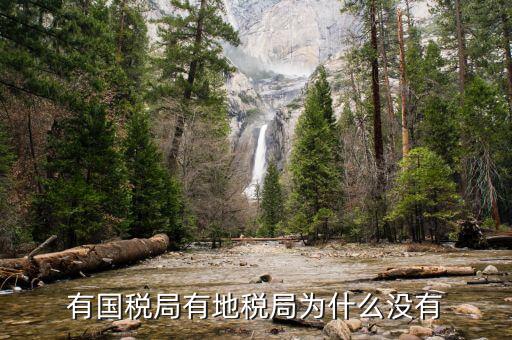 晨曦集團地稅為什么少，社保為什么要地稅代扣