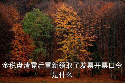 金稅盤清零后重新領取了發(fā)票開票口令是什么