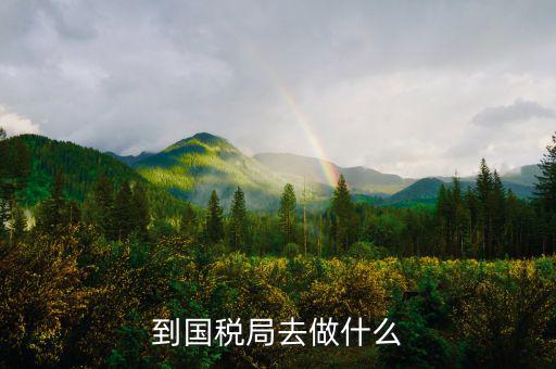 國稅局什么工作，國稅是做什么工作的