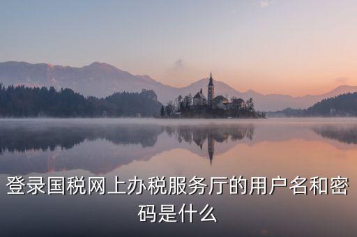 登錄國稅網(wǎng)上辦稅服務廳的用戶名和密碼是什么