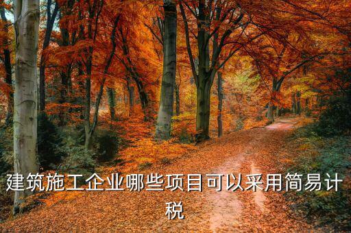 什么行業(yè)適合簡易征收，建筑行業(yè)什么情況下可以選擇簡易征收