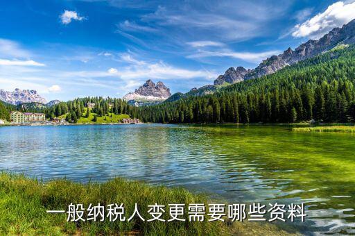 變更報稅人需要帶什么，公司變更納稅人需要帶什么材料