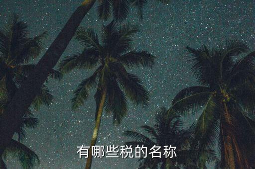什么是稅收名稱大類，增值稅普通發(fā)票的商品名稱寫大類稅務(wù)局能通過嗎
