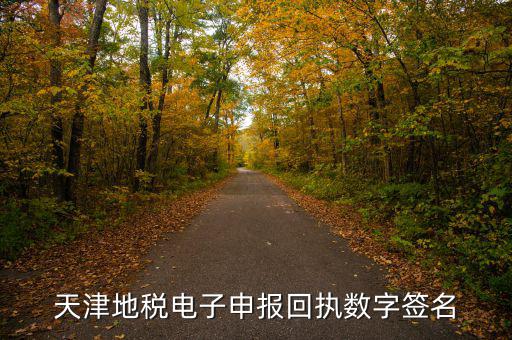 天津地稅自查表是什么，天津地稅電子申報(bào)回執(zhí)數(shù)字簽名