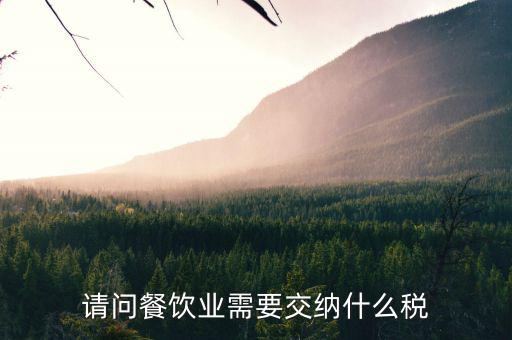餐飲業(yè) 公司 交什么稅，餐飲企業(yè)繳納哪些稅