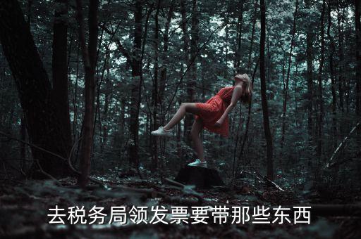 國稅領(lǐng)取發(fā)票需要帶什么，去國稅局領(lǐng)發(fā)票要帶什么