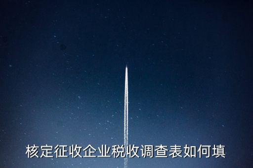 什么企業(yè)填稅收調(diào)查表，核定征收企業(yè)稅收調(diào)查表如何填