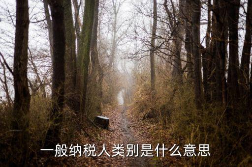納稅人類別填什么，一般納稅人類別是什么意思