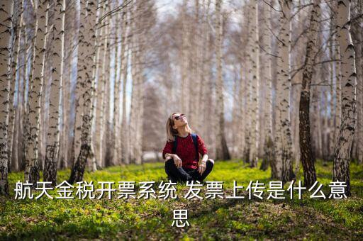 航天金稅是什么，航天金稅接口是什么意思呢