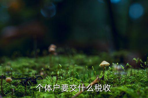 個體商戶納什么稅，個體戶要交什么稅收