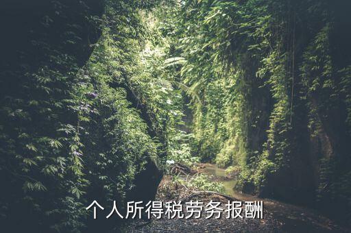 個(gè)稅什么情況勞務(wù)報(bào)酬，有關(guān)個(gè)稅勞務(wù)報(bào)酬