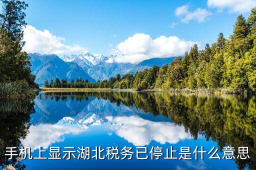 國稅業(yè)務(wù)停用什么意思，手機上顯示湖北稅務(wù)已停止是什么意思