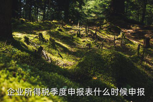 季度稅是在什么時候報，年度季度企業(yè)所得稅申報時間