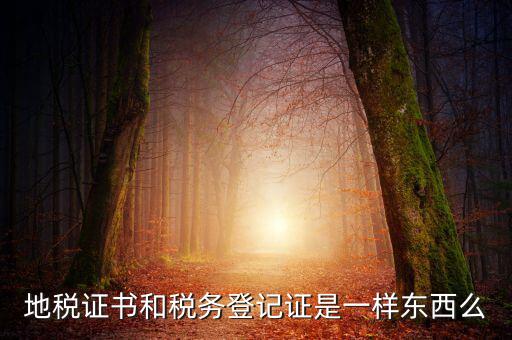 地稅登記證是什么，地方稅納稅資料封面上稅務登記證號是甚么