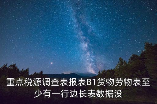 重點(diǎn)稅源調(diào)查表報(bào)表B1貨物勞物表至少有一行邊長(zhǎng)表數(shù)據(jù)沒