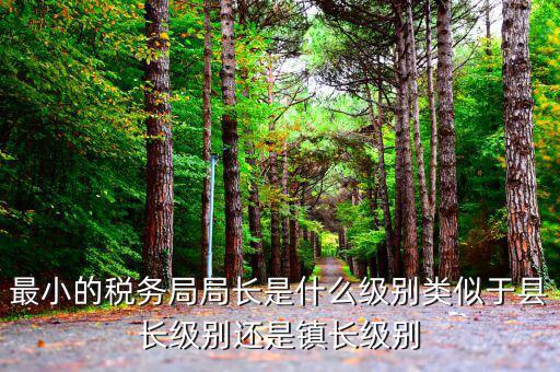 省國稅局長是什么級(jí)別，地級(jí)市的國稅局局長是什么干部