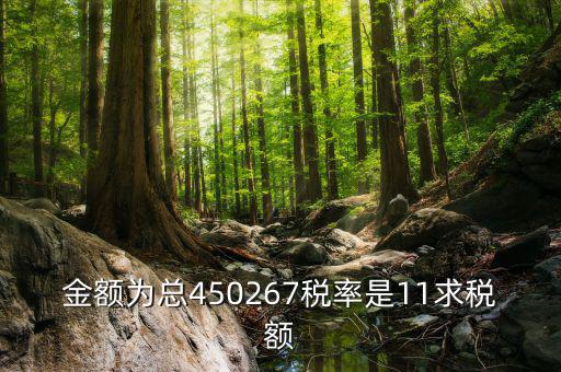 11 是什么稅率，招標(biāo)文件稅率為人工費11是什么意思