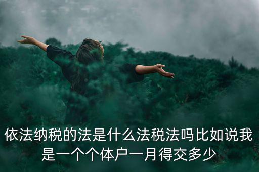 什么是依法納稅人，依法納稅的法是什么法稅法嗎比如說(shuō)我是一個(gè)個(gè)體戶一月得交多少