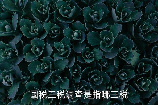 全國稅收調(diào)查是什么，全國稅收調(diào)查表中審核公式IFXXBB8 1 XXBB8 4