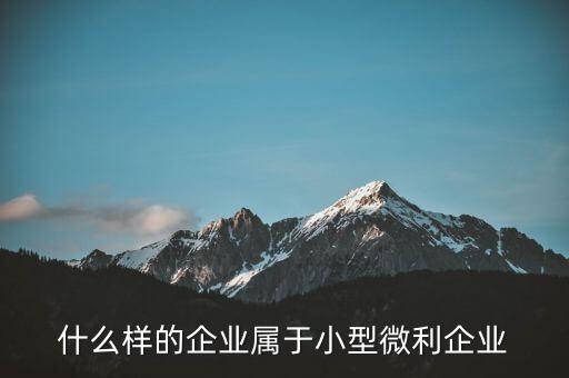 什么企業(yè)算小微企業(yè)，由什么部門來核準(zhǔn)企業(yè)屬于小微企業(yè)