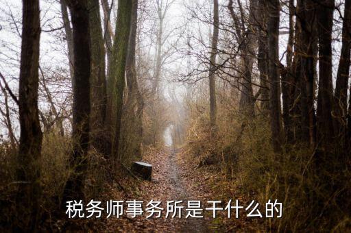 稅務(wù)師事務(wù)所 外勤是做什么的，稅務(wù)師事務(wù)所是干什么的