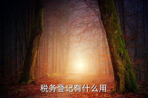 有稅務登記有什么好，稅務登記有什么用
