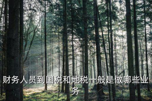 國稅地稅有什么工作，地稅工作人員有哪些職務(wù)