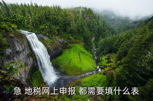 稅務(wù)申報(bào)表用什么填置，怎么填寫稅務(wù)申請(qǐng)表