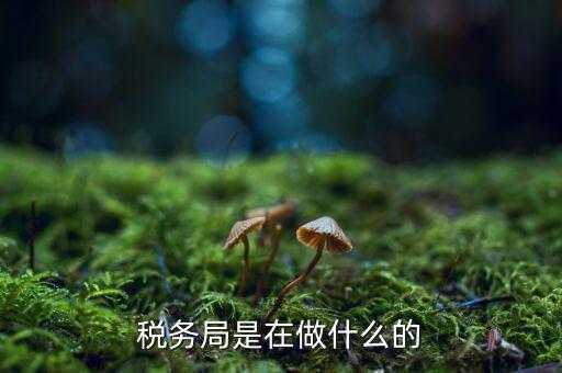 稅務(wù)總局是做什么的，稅務(wù)局是在做什么的