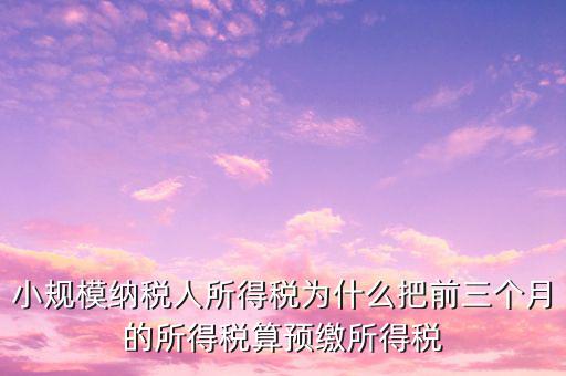 為什么會有預繳所得稅，我企業(yè)是今年1月被稅局核定按收入繳納企業(yè)所得稅 為什么第一季度報