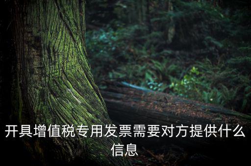 開(kāi)具增值稅專(zhuān)用發(fā)票需要對(duì)方提供什么信息