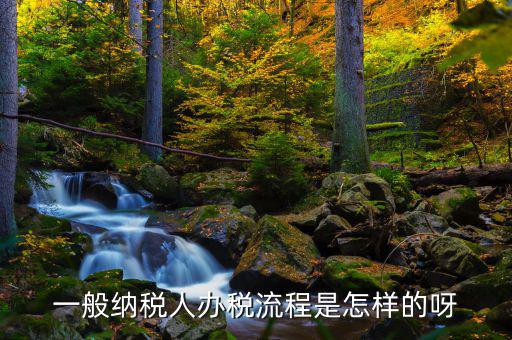 什么是正常辦稅，一般納稅人辦稅流程是怎樣的呀