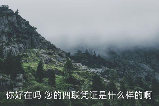 汽車(chē)四聯(lián)發(fā)票是什么樣，你好在嗎 您的四聯(lián)憑證是什么樣的啊