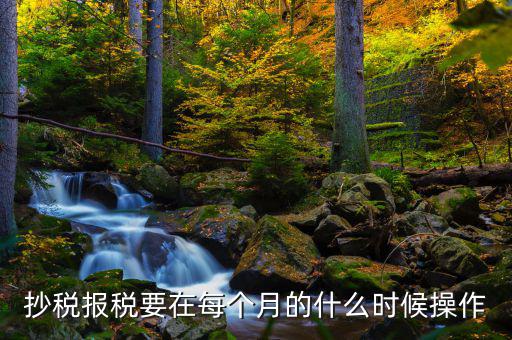 稅控盤什么時候抄報，抄稅報稅要在每個月的什么時候操作