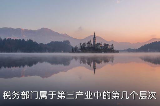 稅務部門屬于第三產(chǎn)業(yè)中的第幾個層次