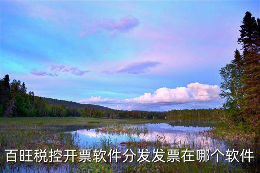 百旺稅控開(kāi)票軟件分發(fā)發(fā)票在哪個(gè)軟件