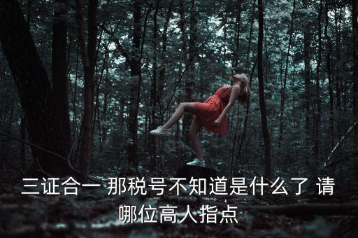 三證合一后的發(fā)票稅號是什么意思，三證合一 那稅號不知道是什么了 請哪位高人指點