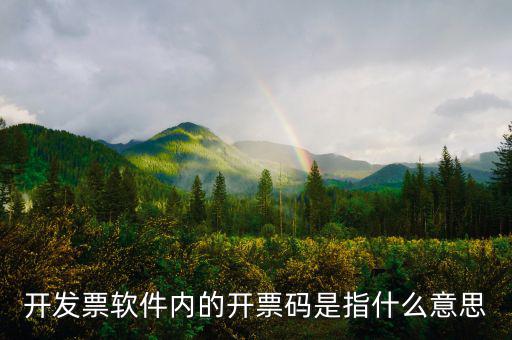 手工發(fā)票代碼什么意思，請問我發(fā)票代碼第8位9位分別是BK是什么意思
