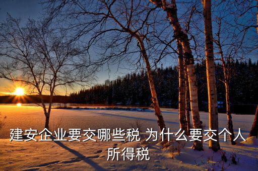 工程為什么要繳納個(gè)稅，去稅務(wù)局開工程發(fā)票時(shí)為什么要交個(gè)人所得稅