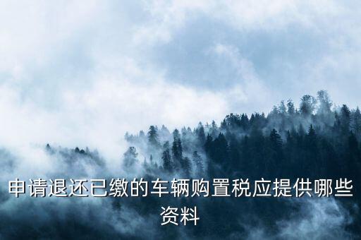 車輛退稅需要什么，現(xiàn)在購(gòu)車要退什么稅
