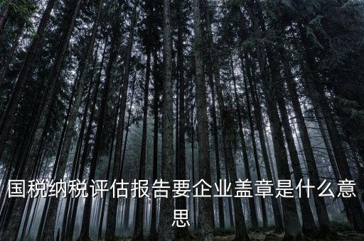 稅務(wù)國別報告是什么意思，國稅納稅評估報告要企業(yè)蓋章是什么意思
