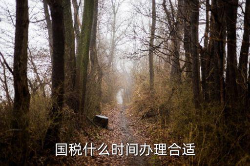 國稅局申請什么時候好，國稅什么時間辦理合適