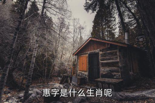 惠稅無(wú)憂的密碼是什么，自噴漆稅收商品編碼是多少