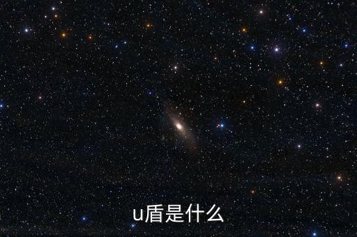 對外支付是什么，u盾是什么